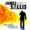 The_Long-Legged_Fly