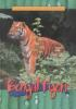 Bengal_tigers