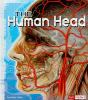 The_human_head