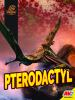 Pterodactyl
