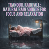Tranquil_Rainfall__Natural_Rain_Sounds_for_Focus_and_Relaxation