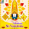 Vaikuntavasa_Sri_Venkatesha
