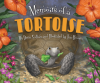 Memoirs_of_a_tortoise