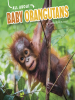 All_About_Baby_Orangutans