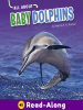 All_about_baby_dolphins