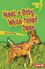 Meet_a_baby_white-tailed_deer